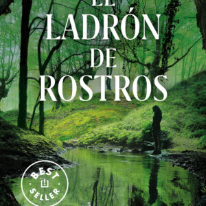 El ladrón de rostros (Inspectora Ane Cestero 3)