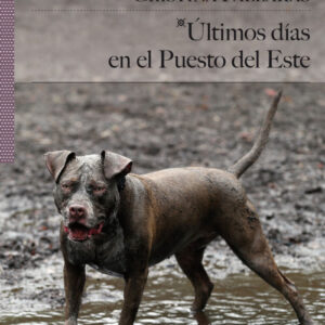 Ultimos dias en el puesto