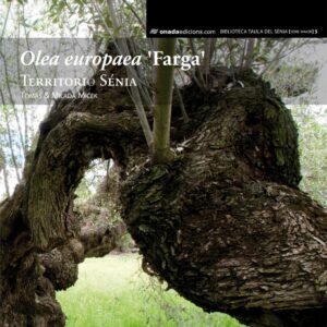 Olea europaea 'farga'