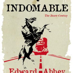 El vaquero indomable