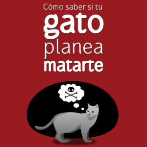 Cómo saber si tu gato planea matarte