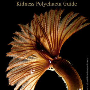 Guía práctica identificación familias de poliquetos