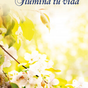 Ilumina tu vida