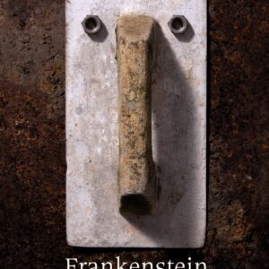 Frankenstein o el moderno Prometeo