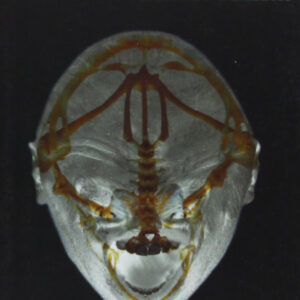 Otros mitos de Cthulhu