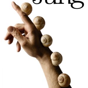 Los complejos y el inconsciente