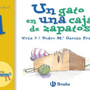 Un gato en una caja de zapatos