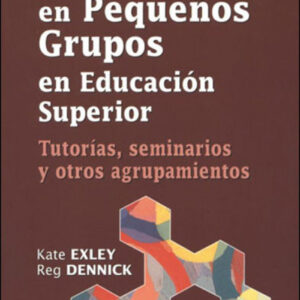 Enseñanza pequeños grupos educacion superior