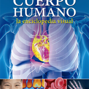 Cuerpo humano