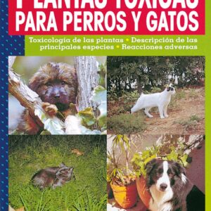 Plantas tóxicas para perros y gatos