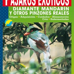 Pájaros exóticos