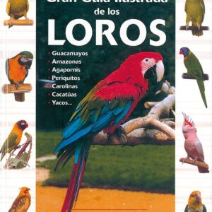 Guía ilustrada de los loros