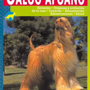 El galgo afgano