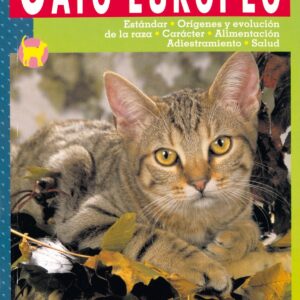 Gato europeo