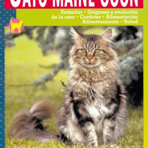 Gato Maine Coon