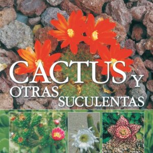 Cactus y otras suculentas, plantas de jardín