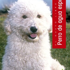 Perro de agua español.