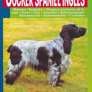 Cocker spaniel inglés.