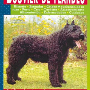 Bouvier de Flandes.