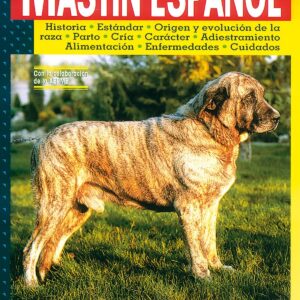 Mastín español.