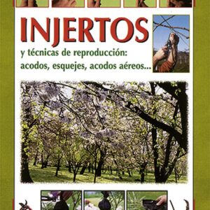 Injertos
