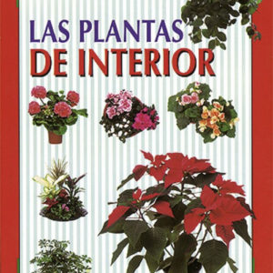 Las plantas de interior