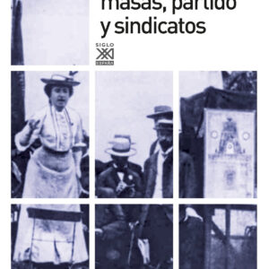 Huelgas de masas, partido y sindicatos