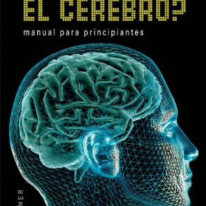 ¿Para qué sirve el cerebro?