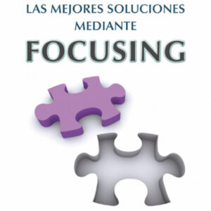Encontrar las mejores soluciones mediante focusing