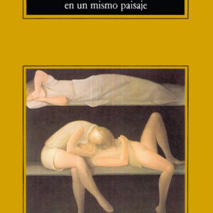 Siete miradas en un mismo paisaje