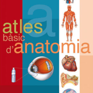 Anatomia