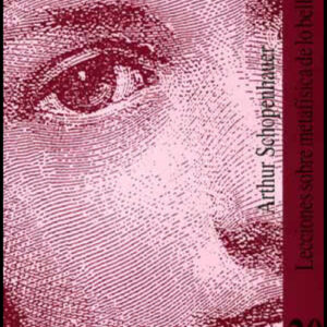 Lecciones sobre metafísica de lo bello