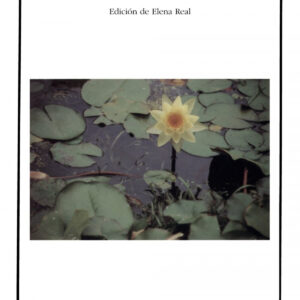 La espuma de los días