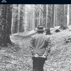 Sin salvación: Tras las huellas de Heidegger