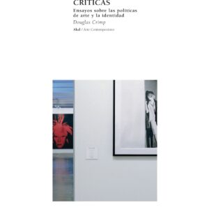 Posiciones críticas:ensayos sobre politicas de arte y la identidad