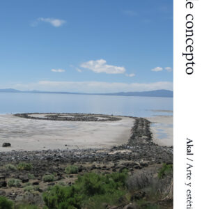 Del arte objetual al arte de concepto