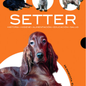 Setter