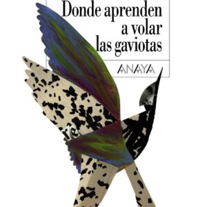 Donde aprenden a volar las gaviotas