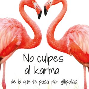 No culpes al karma de lo que te pasa por gilipollas