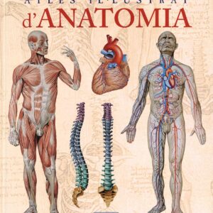 Atles il-lustrat d'anatomia