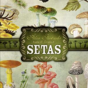 Atlas ilustrado de setas