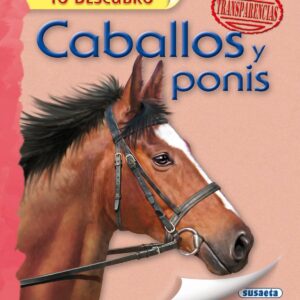 Caballos y ponis