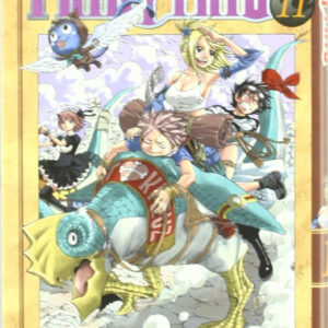 FAIRY TAIL 11