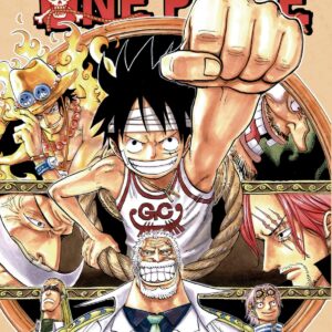 One Piece nº45