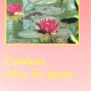 Caminar sobre aguas.(Surcos)