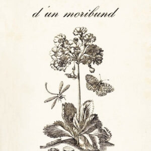 Viatge d´un moribund