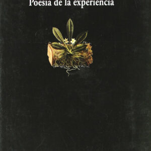 Poesia de la experiencia