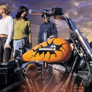 No em pots dir adéu