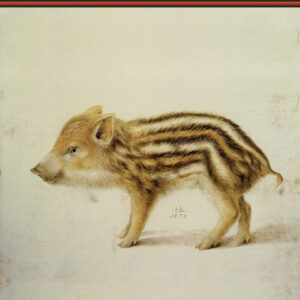 La pell de la frontera