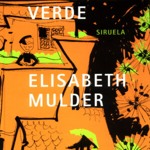 Las noches del gato verde